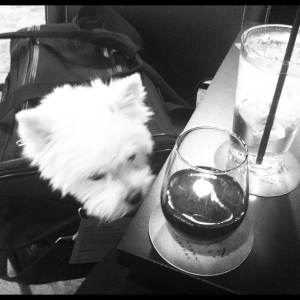 Our first flight delay together. Too bad you're not old enough for wine.