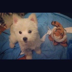 How I explained your last name to you.