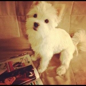 Love your magazines, just like your mama. (Thanks for the photo, Auntie J!)