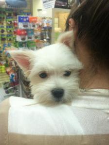 252584_10100434203604588_819341563_n