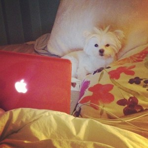 1902903_10101041726518798_867800790_n