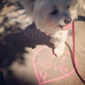 I love you, too Lucy!