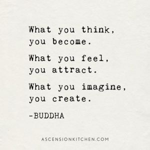 a24b3bcfa04ba3f70c0d1c8f4a794709